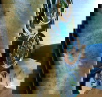 Golden Drum - Hotel Accommodation