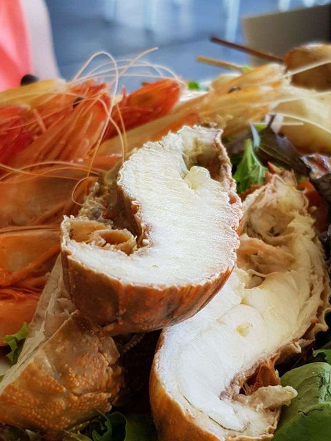 Bribie Island Surf Club - Hotel Accommodation 0