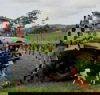 Brook Eden Vineyard - Hotel Accommodation