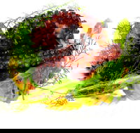 Woodhill Dining - Hotel Accommodation