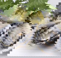 Coco's Riverside Bar  Restaurant - Hotel Accommodation