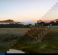 Mountainside Wines - Hotel Accommodation