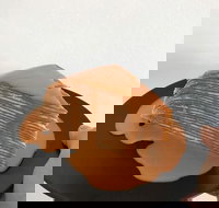 The Usual Joint - Hotel Accommodation