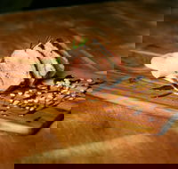 Aura - Hotel Accommodation