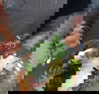 Cafe Macarthur - Hotel Accommodation