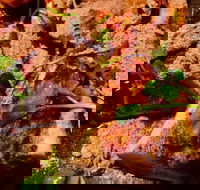 Mjlner - Hotel Accommodation