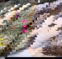 Pure Bread Bakery - Hotel Accommodation