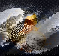 The Roundabout Restaurant - Hotel Accommodation