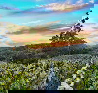 Between the Vines Cellar Door - Hotel Accommodation