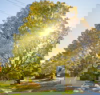 Brown Brothers Milawa Vineyard - Hotel Accommodation