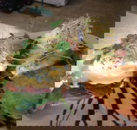 Cafe in the Mountains - Hotel Accommodation