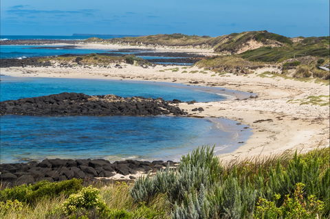 Time And Tide Tearoom - Hotel Accommodation 2