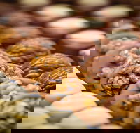 Cafe Stellina - Hotel Accommodation