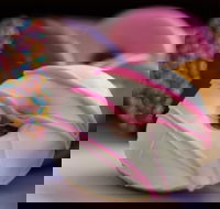 Donut King - Dee Why - Hotel Accommodation