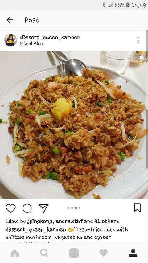 Miami Rice - Hotel Accommodation 0