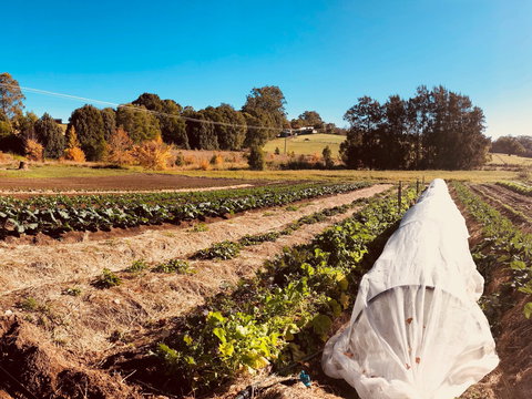 Synchronicity Farm - Hotel Accommodation 0