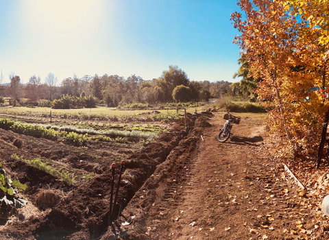 Synchronicity Farm - Hotel Accommodation 1