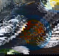 Extract Espresso - Hotel Accommodation