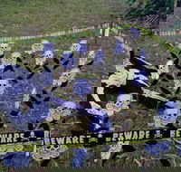 Hillbilly Coffee - Hotel Accommodation