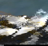 Jim Wild's Oyster Service - Hotel Accommodation