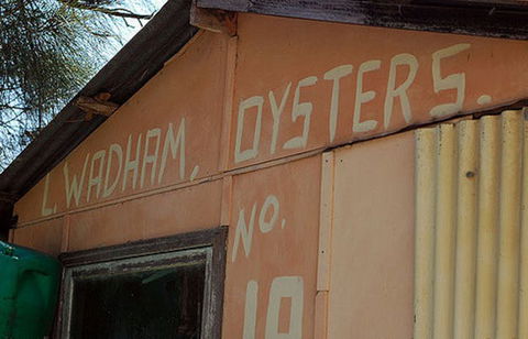 Les Wadham Oysters - Broken Bay Pacific Oysters - Hotel Accommodation 0