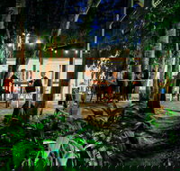 Rainforest Restaurant and Lounge Bar - Hotel Accommodation