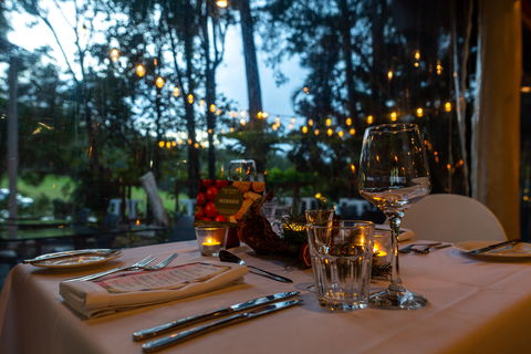 Rainforest Restaurant And Lounge Bar - Hotel Accommodation 1