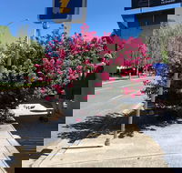 Alpine Gate Cafe - Hotel Accommodation