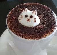 Cafe 2340 - Hotel Accommodation