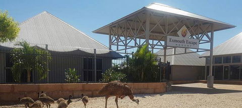 Papou's Kitchen Cafe - Hotel Accommodation 0