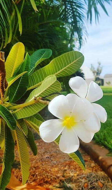 Papou's Kitchen Cafe - Hotel Accommodation 4