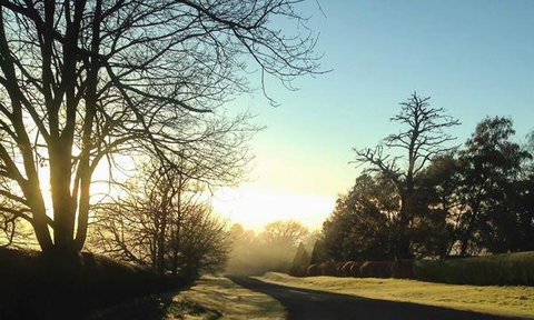 Katers Restaurant - Hotel Accommodation 8