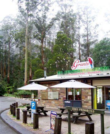 Kangaroo Island Fresh Seafoods And Takeaway - Hotel Accommodation 5