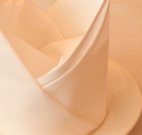 Touch of North India - Hotel Accommodation