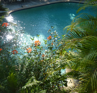 Avoca Beach Hotel - Hotel Accommodation