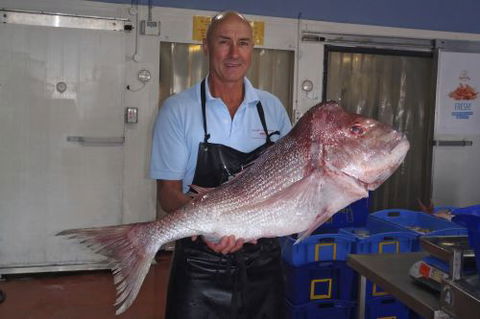Northern Rivers Seafood - Hotel Accommodation 3