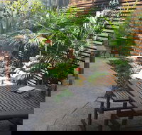 The Garden Plate - Hotel Accommodation