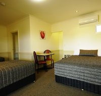 Park Avenue Hotel-Motel - Hotel Accommodation