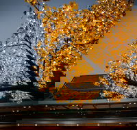 Tradies Helensburgh - Hotel Accommodation