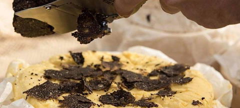 Citro Bar & Restaurant - Hotel Accommodation 1