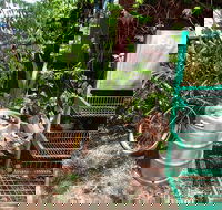 Larrimah Pink Panther Hotel - Hotel Accommodation