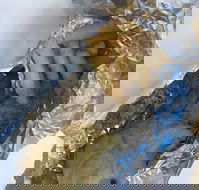 Seven Mile Beach Store - Hotel Accommodation