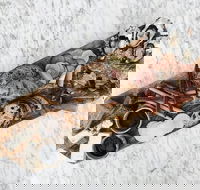 Stefano Lubiana Wines - Hotel Accommodation