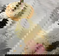 The Archie Secret Cafe - Hotel Accommodation