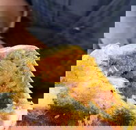 Brighton's Best Bakehouse - Hotel Accommodation