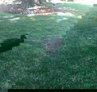 Fitzpatrick's Inn - Hotel Accommodation