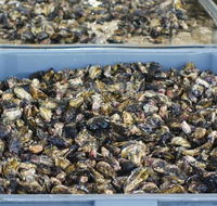 Lease 65 - Hotel Accommodation