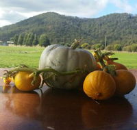 Mount Gnomon Farm - Hotel Accommodation