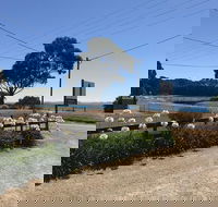 Penguin  Pardalote Coffee House - Hotel Accommodation