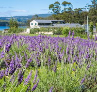 Port Arthur Lavender - Hotel Accommodation